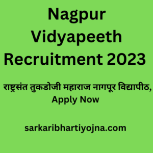 Nagpur Vidyapeeth Recruitment 2023, राष्ट्रसंत तुकडोजी महाराज नागपूर विद्यापीठ, Apply Now 