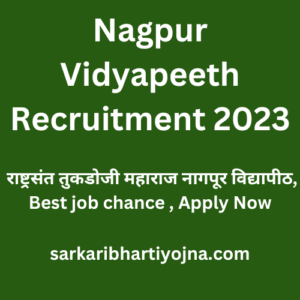 Nagpur Vidyapeeth Recruitment 2023, राष्ट्रसंत तुकडोजी महाराज नागपूर विद्यापीठ, Best job chance , Apply Now